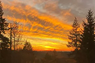 12509 206th Pl SE, Issaquah, WA 98027 - Photo 36