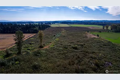 0 Willeys Lake Road, Custer, WA 98240 - Photo 12