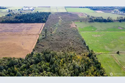 0 Willeys Lake Road, Custer, WA 98240 - Photo 10