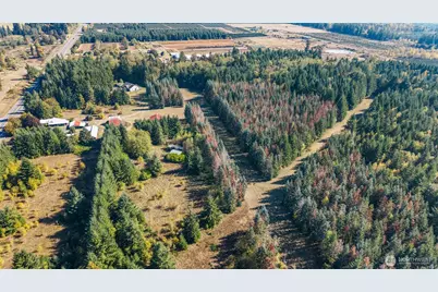 1956 US Highway 12, Ethel, WA 98542 - Photo 34