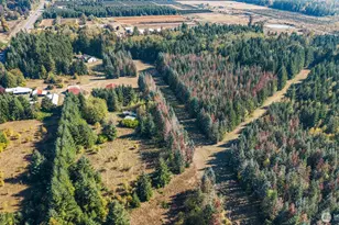 1956 US Hwy 12, Ethel, WA 98542 - Photo 34