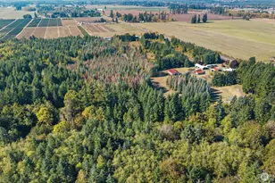 1956 US Hwy 12, Ethel, WA 98542 - Photo 36