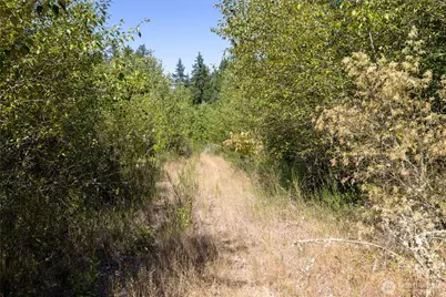 0 173rd Avenue SE, Yelm, WA 98597 - Photo 20