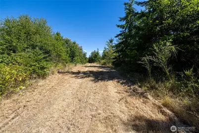 0 173rd Avenue SE, Yelm, WA 98597 - Photo 30