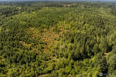 0 173rd Avenue SE, Yelm, WA 98597 - Photo 28