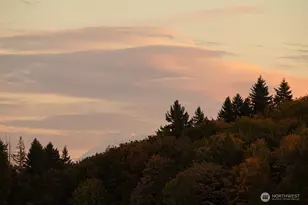 13211 NE 127th Wy, Kirkland, WA 98034 - Photo 16