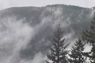 3001 Green Valley Dr, Maple Falls, WA 98266 - Photo 38