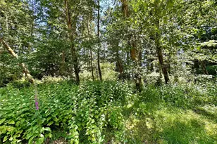 10312 Matthews, Anderson Island, WA 98303 - Photo 6