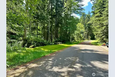 10312 Matthews, Anderson Island, WA 98303 - Photo 1