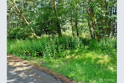 10312 Matthews, Anderson Island, WA 98303 - Photo 4