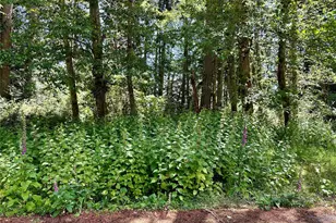 10312 Matthews, Anderson Island, WA 98303 - Photo 2