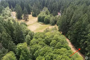 10213 Edgewood Dr, Anderson Island, WA 98303 - Photo 2