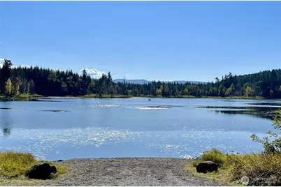 36003 36th Avenue E, Eatonville, WA 98328 - Photo 4