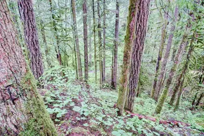 17 Schinn Canyon Circle, Deming, WA 98244 - Photo 2