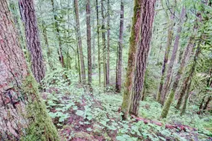 17 Schinn Canyon Circle, Deming, WA 98244 - Photo 2