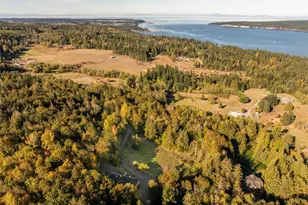 337 Louella Rd, Sequim, WA 98382 - Photo 40