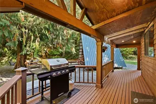 56818 387th Ave Ct E, Ashford, WA 98304 - Photo 28