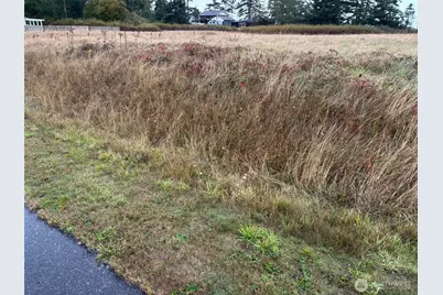 0 Monterey Street, Coupeville, WA 98239 - Photo 4