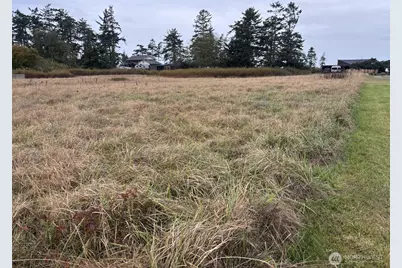0 Monterey Street, Coupeville, WA 98239 - Photo 1