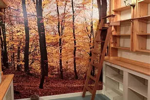 24703 NE State Route 3, Belfair, WA 98528 - Photo 28