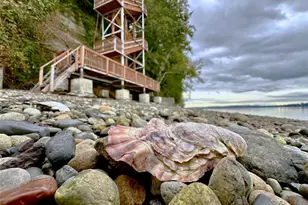 170 E Camus Dr, Shelton, WA 98584 - Photo 36