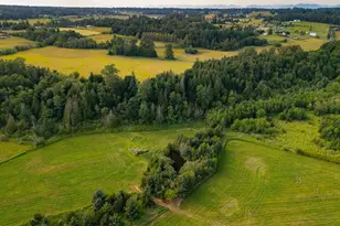 5295 S Church Rd, Ferndale, WA 98248 - Photo 40