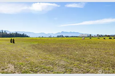 982 E Anderson Road, Sequim, WA 98382 - Photo 6