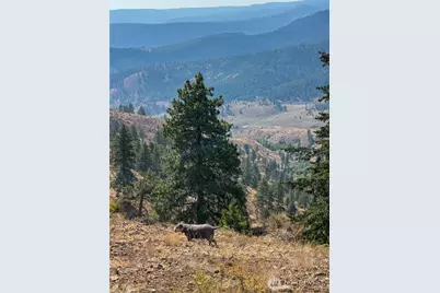 3050 Stiss Canyon, Wenatchee, WA 98801 - Photo 26