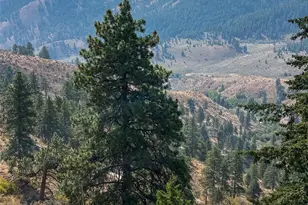 3050 Stiss Canyon, Wenatchee, WA 98801 - Photo 26