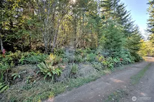 241 E Ritz Dr, Shelton, WA 98584 - Photo 22