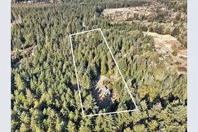 241 E Ritz Drive, Shelton, WA 98584 - Photo 6