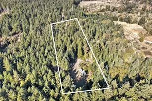 241 E Ritz Dr, Shelton, WA 98584 - Photo 6