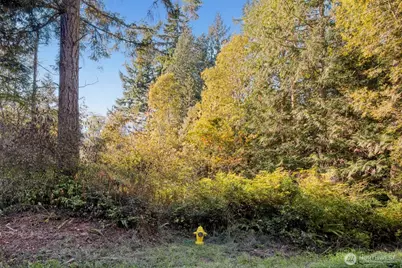 0 Skunk Bay Road NE, Hansville, WA 98340 - Photo 4