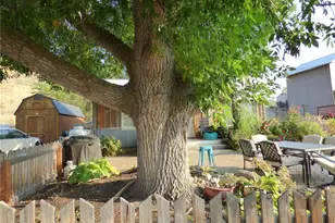 304 Pearl St, Pateros, WA 98846 - Photo 4