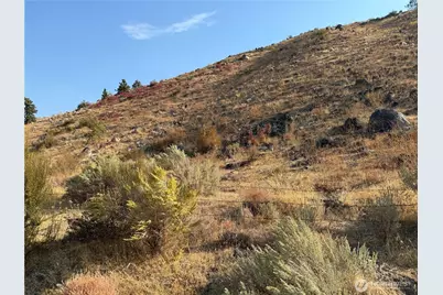 2200 Antoine Creek Road, Chelan, WA 98816 - Photo 10