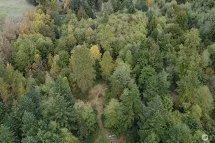 13920 Littlerock Rd SW, Rochester, WA 98579 - Photo 4