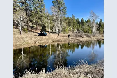 54 Hardrock Road, Republic, WA 99166 - Photo 36