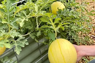 54 Hardrock Rd, Republic, WA 99166 - Photo 18