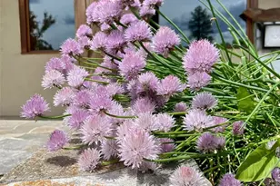 54 Hardrock Rd, Republic, WA 99166 - Photo 32