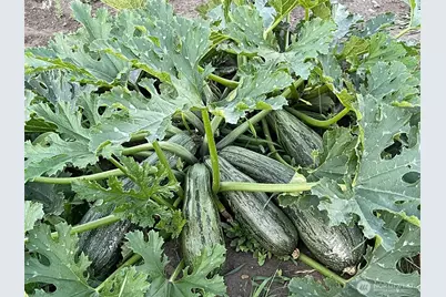 54 Hardrock Road, Republic, WA 99166 - Photo 20