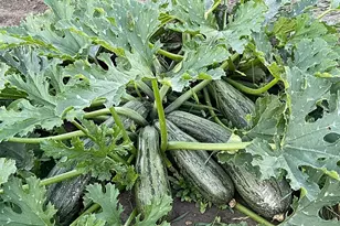 54 Hardrock Rd, Republic, WA 99166 - Photo 20