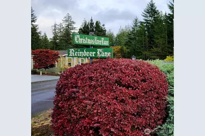 19 Christmas Tree Lane, Shelton, WA 98584 - Photo 30