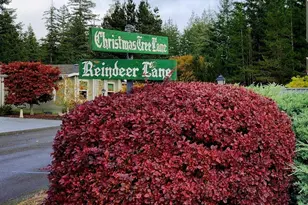 19 Christmas Tree Ln, Shelton, WA 98584 - Photo 30