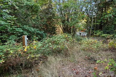 50 N Rustic Ridge Drive, Lilliwaup, WA 98555 - Photo 38