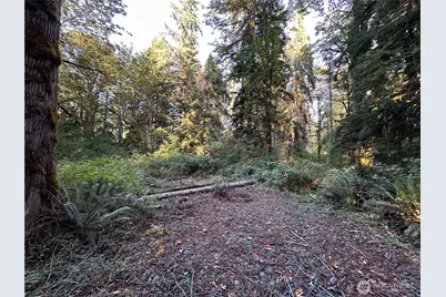 358 Xx NE Moss Lake Road, Carnation, WA 98014 - Photo 12