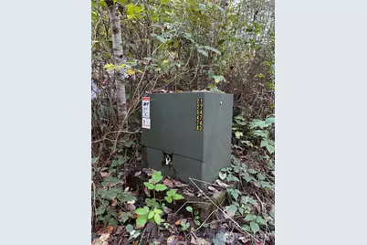 358 Xx NE Moss Lake Road, Carnation, WA 98014 - Photo 16