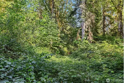 358 Xx NE Moss Lake Road, Carnation, WA 98014 - Photo 10