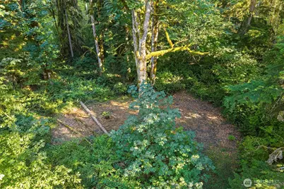 358 Xx NE Moss Lake Road, Carnation, WA 98014 - Photo 8