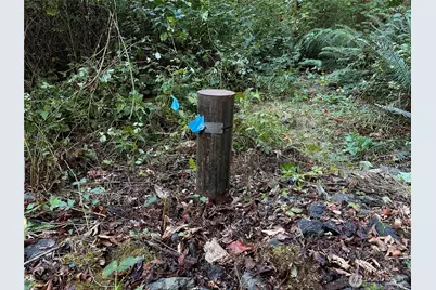 358 Xx NE Moss Lake Road, Carnation, WA 98014 - Photo 14