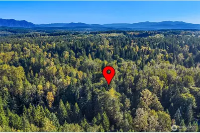 358 Xx NE Moss Lake Road, Carnation, WA 98014 - Photo 20